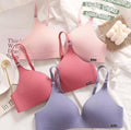 PACK OF 3 PADDED BRAS VLK 1013