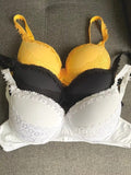 PACK OF 3 PADDED BRAS VLK 1014