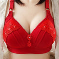 Pack of 3 PSWL Bra For Big Breast Women VLK 1030