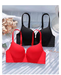 Pack of 3 Premium Pushup Bras VLK 1047